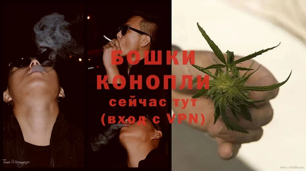 прущий лед Арсеньев