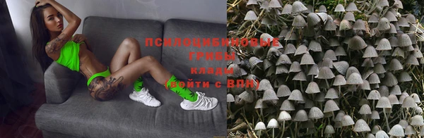 прущий лед Арсеньев