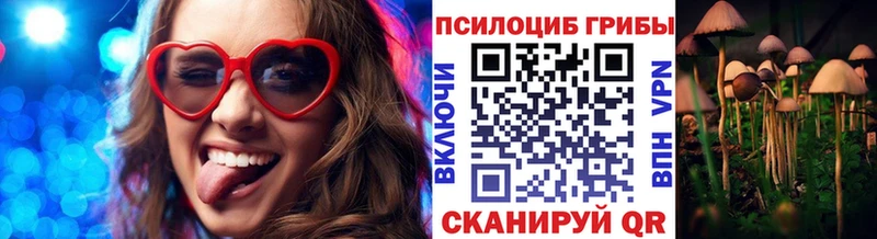 Галлюциногенные грибы мицелий Судогда